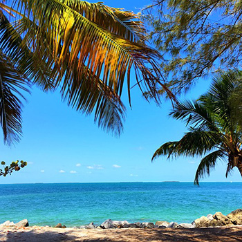 Florida beach